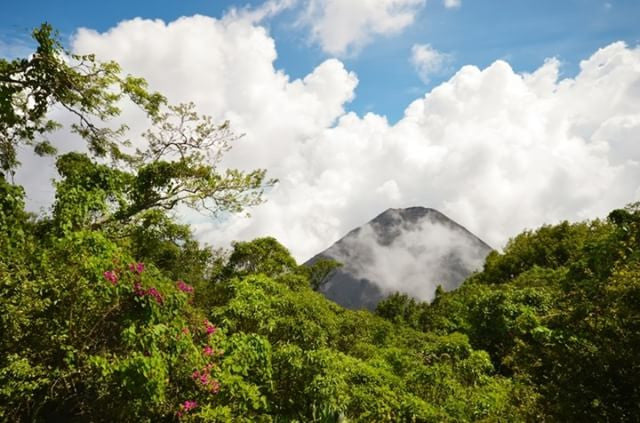 Coffee Sourcing - El Salvador 2017