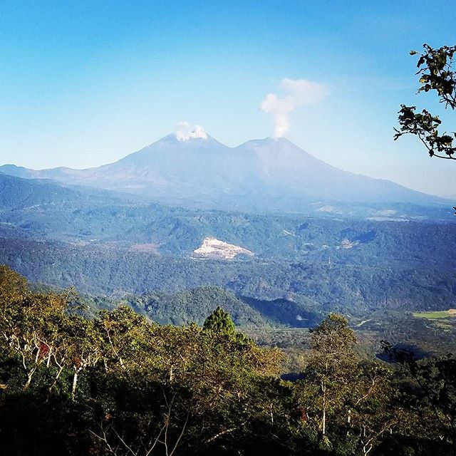 Coffee Sourcing 2017 - Finca San Jeronimo Miramar