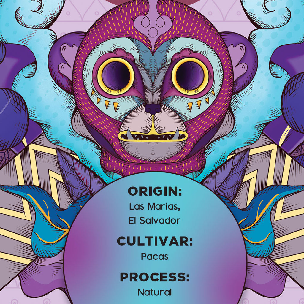 Banner with Monkey graphic and text reading "Origin: Las Marias, El Salvador, Cultivar: Pacas, Process: Natural 